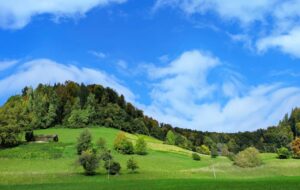Sinusförmige bewaldete Hügel unter weiss-blauem Himmel